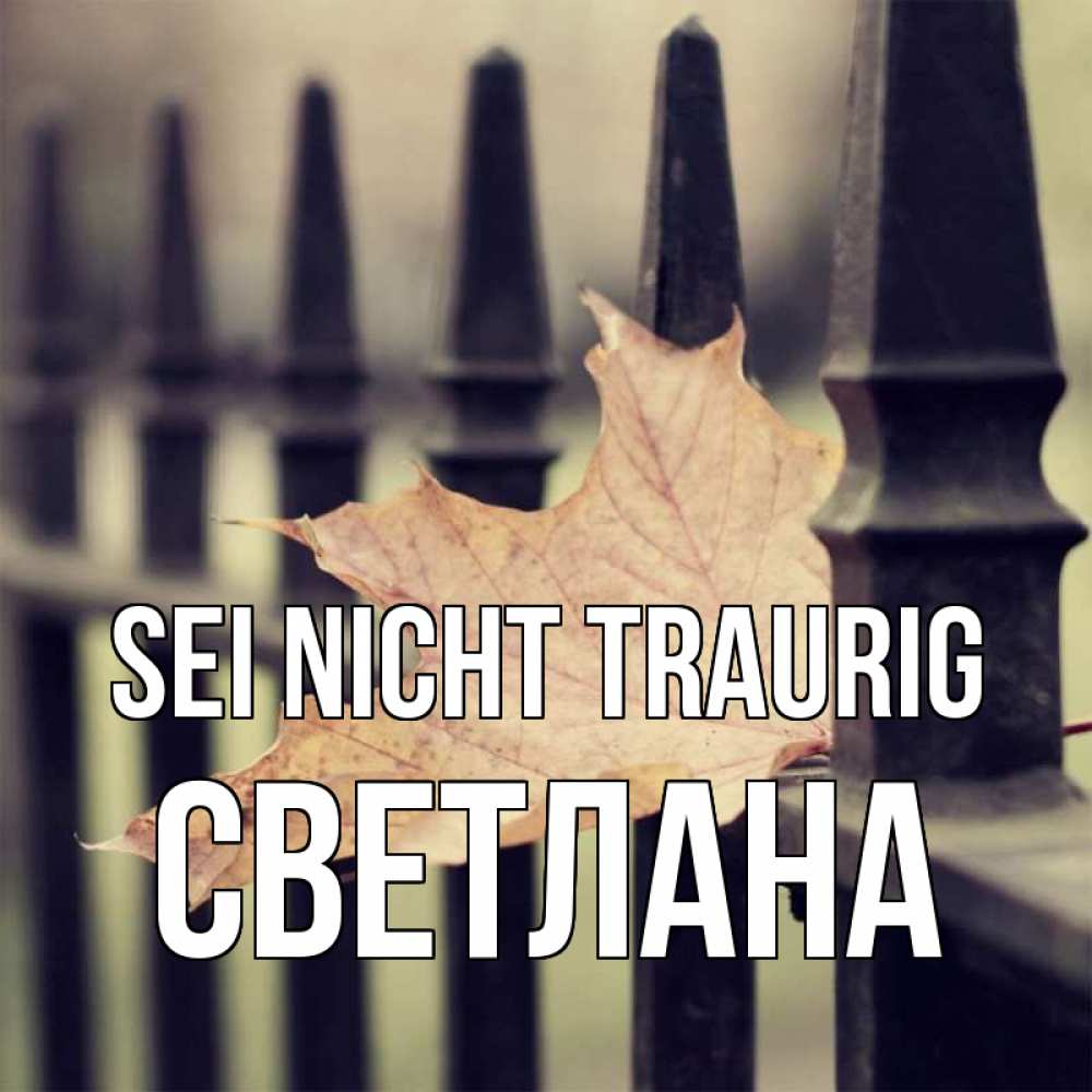 Открытка на каждый день с именем, Светлана Sei nicht traurig лист клена Прикольная открытка с пожеланием онлайн скачать бесплатно 