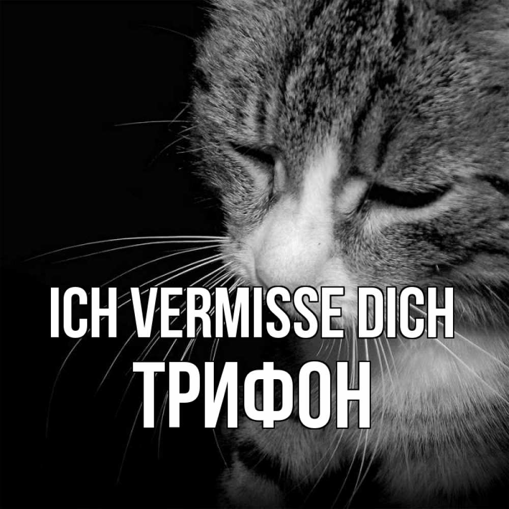 Открытка на каждый день с именем, Трифон Ich vermisse dich мне скучно Прикольная открытка с пожеланием онлайн скачать бесплатно 