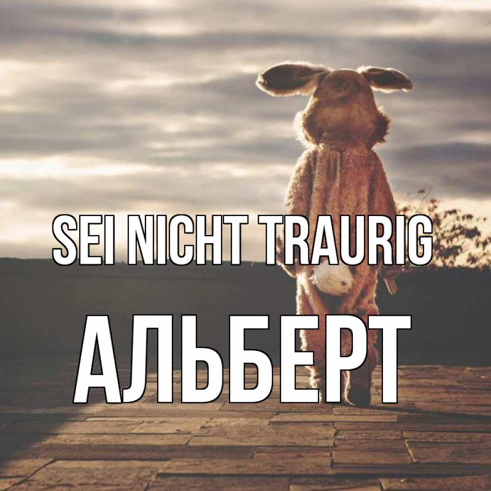 Открытка на каждый день с именем, Альберт Sei nicht traurig со спины Прикольная открытка с пожеланием онлайн скачать бесплатно 