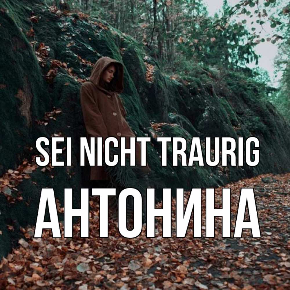 Открытка на каждый день с именем, Антонина Sei nicht traurig осенний лес Прикольная открытка с пожеланием онлайн скачать бесплатно 