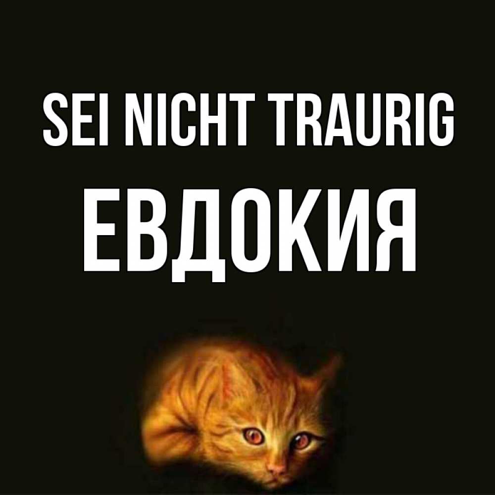 Открытка на каждый день с именем, Евдокия Sei nicht traurig лежащий кот в темноте Прикольная открытка с пожеланием онлайн скачать бесплатно 