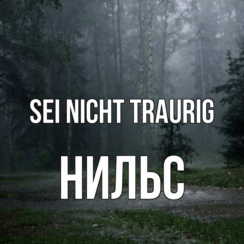 Открытка на каждый день с именем, Нильс Sei nicht traurig осень Прикольная открытка с пожеланием онлайн скачать бесплатно 
