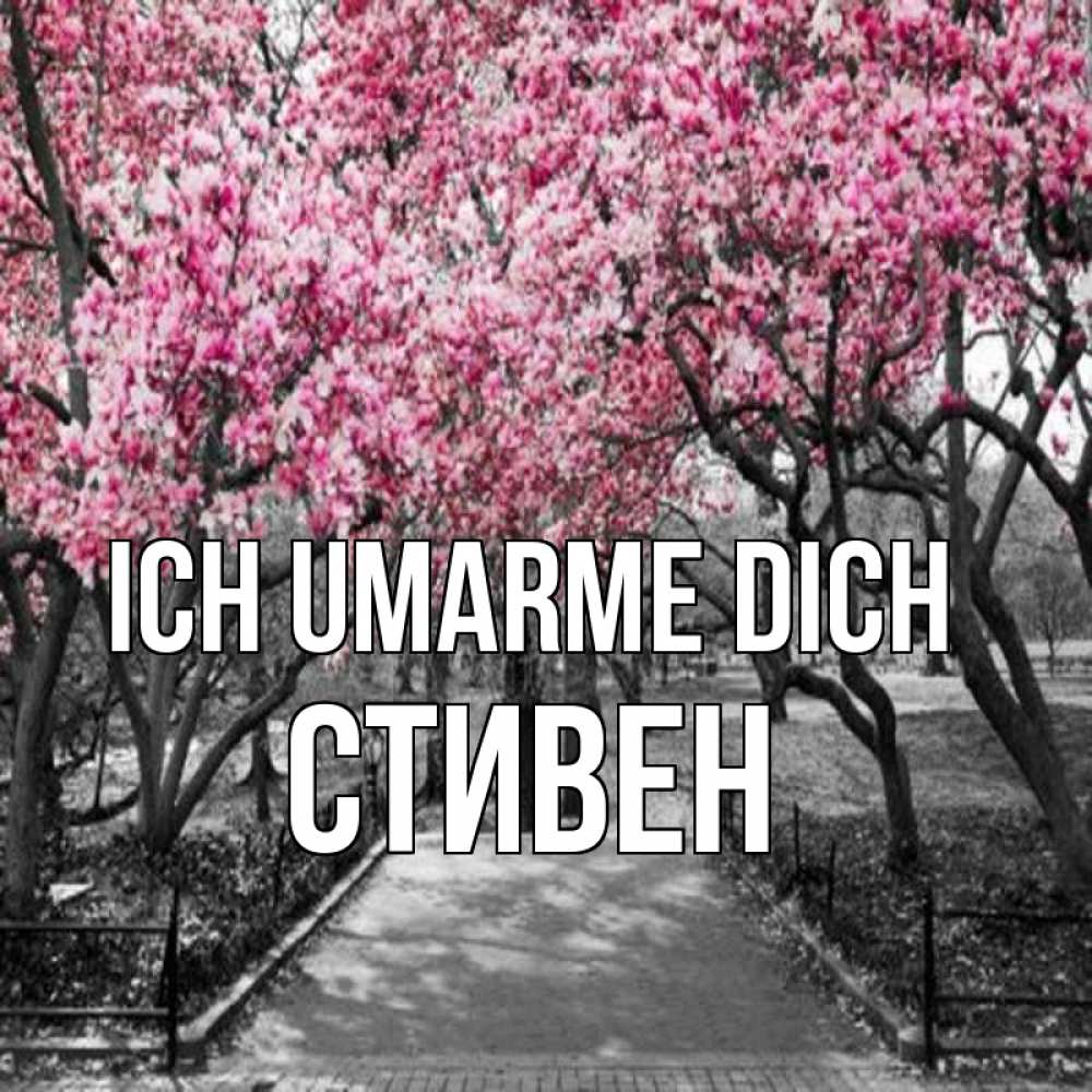 Открытка на каждый день с именем, Стивен Ich umarme dich обработанное фото Прикольная открытка с пожеланием онлайн скачать бесплатно 