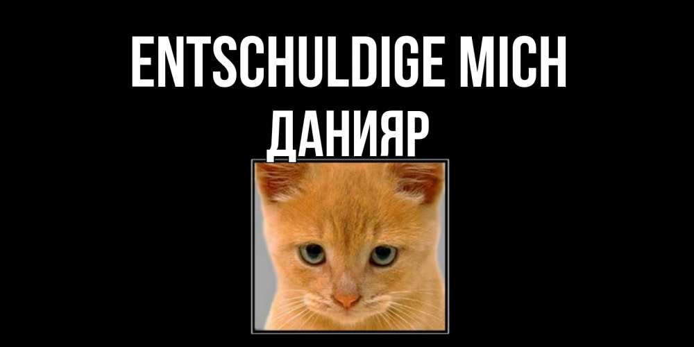 Открытка на каждый день с именем, Данияр Entschuldige mich рыжий грустный кот просит прощения Прикольная открытка с пожеланием онлайн скачать бесплатно 