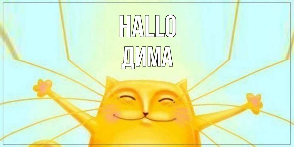 Открытка на каждый день с именем, Дима Hallo кот Прикольная открытка с пожеланием онлайн скачать бесплатно 