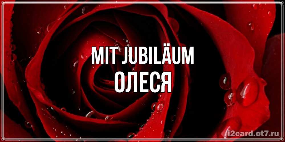 Открытка на каждый день с именем, Олеся Mit Jubiläum крупная бордовая роза Прикольная открытка с пожеланием онлайн скачать бесплатно 