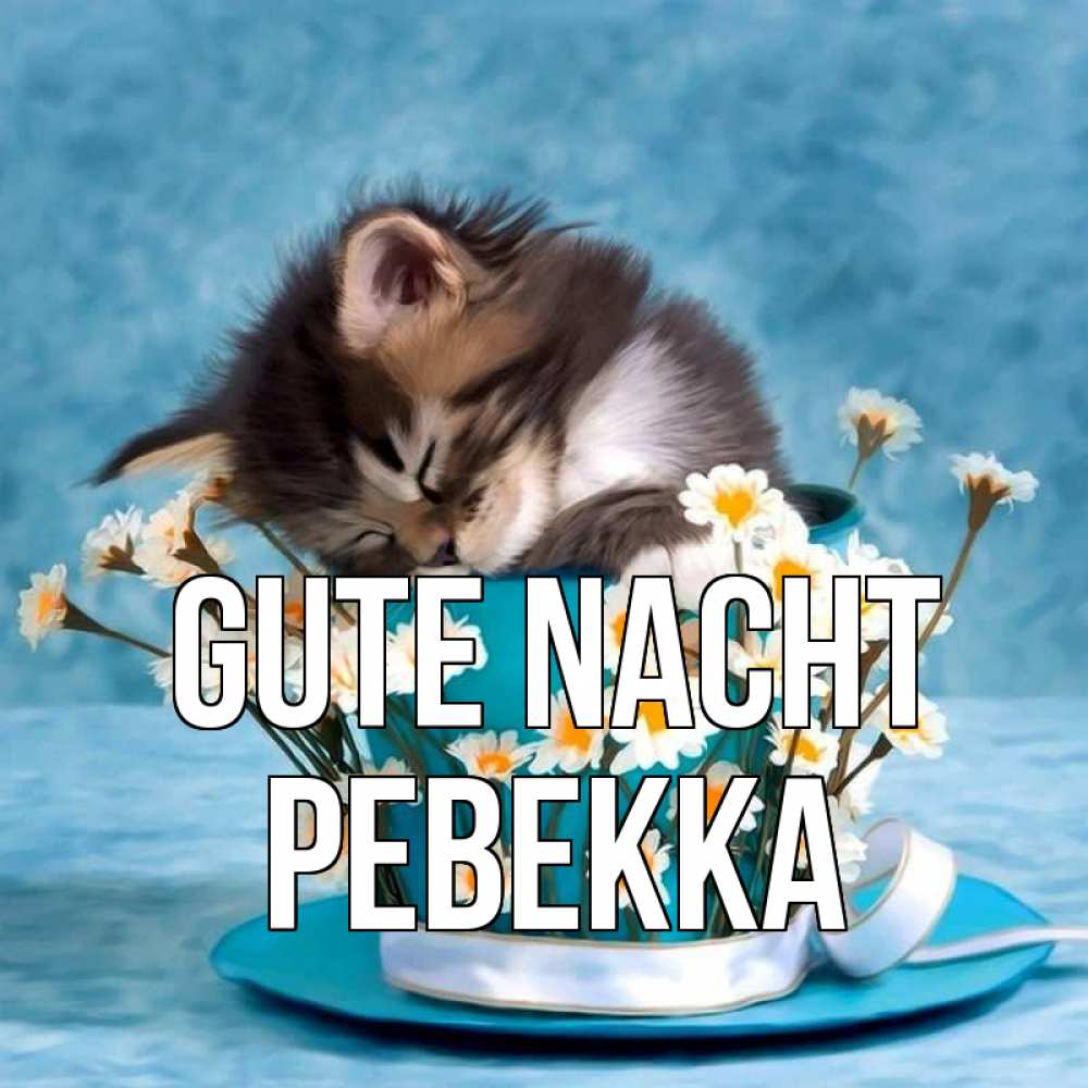 Открытка на каждый день с именем, Ревекка Gute Nacht котенок спит в кружке с блюдцем Прикольная открытка с пожеланием онлайн скачать бесплатно 