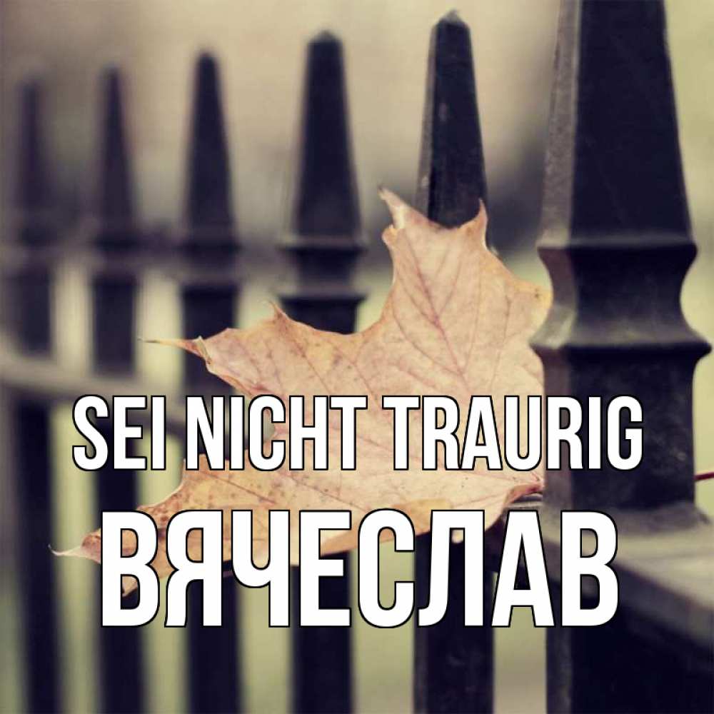 Открытка на каждый день с именем, Вячеслав Sei nicht traurig лист клена Прикольная открытка с пожеланием онлайн скачать бесплатно 