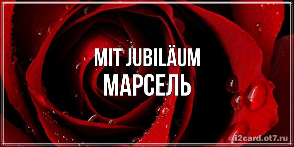 Открытка на каждый день с именем, Марсель Mit Jubiläum крупная бордовая роза Прикольная открытка с пожеланием онлайн скачать бесплатно 