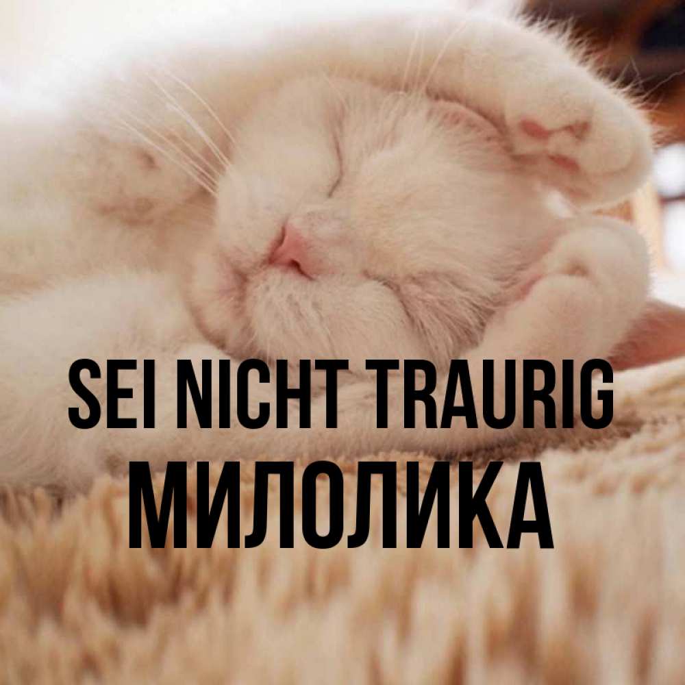 Открытка на каждый день с именем, Милолика Sei nicht traurig Котенок спит Прикольная открытка с пожеланием онлайн скачать бесплатно 