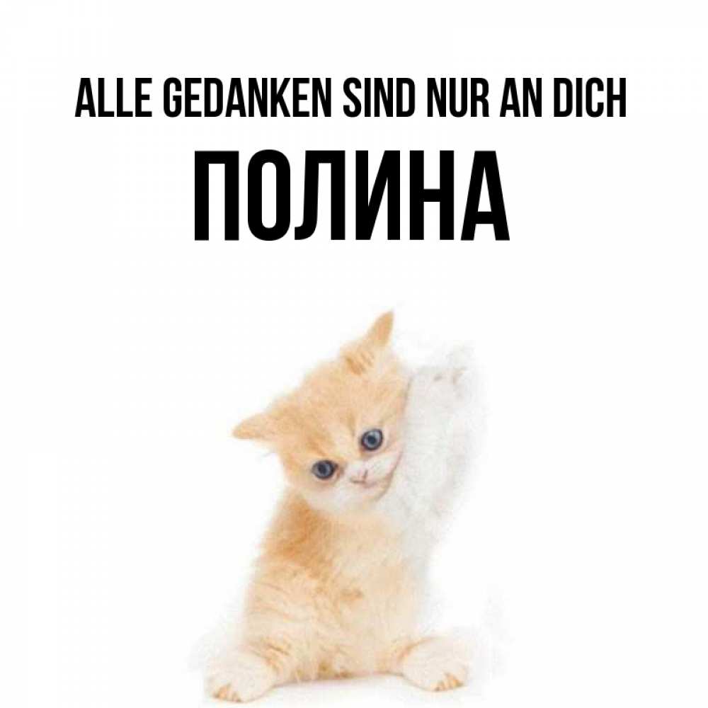 Открытка на каждый день с именем, Полина Alle Gedanken sind nur an dich зверушки и милота Прикольная открытка с пожеланием онлайн скачать бесплатно 