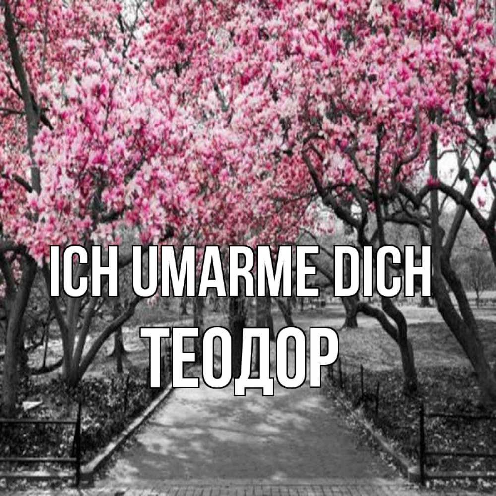 Открытка на каждый день с именем, Теодор Ich umarme dich обработанное фото Прикольная открытка с пожеланием онлайн скачать бесплатно 
