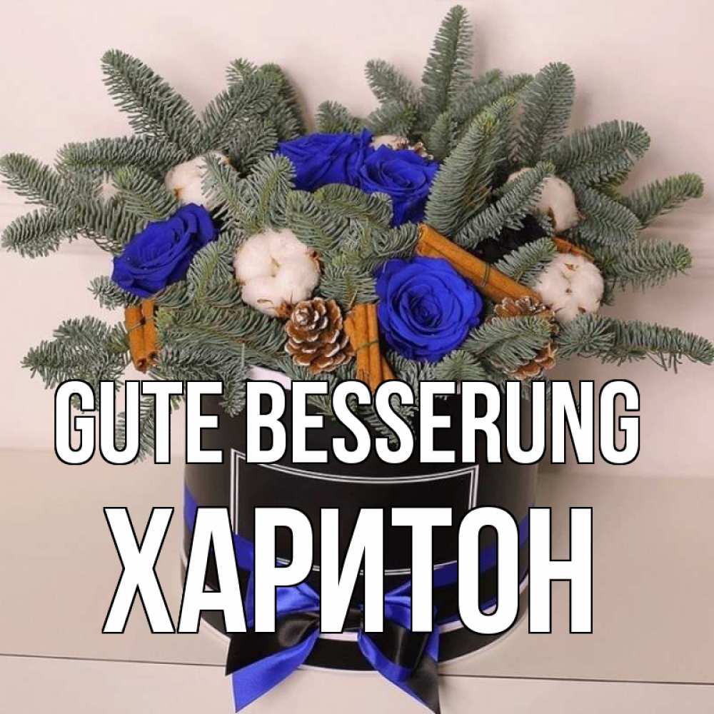 Открытка на каждый день с именем, Харитон Gute Besserung короче кто то загрузил эти шишки Прикольная открытка с пожеланием онлайн скачать бесплатно 