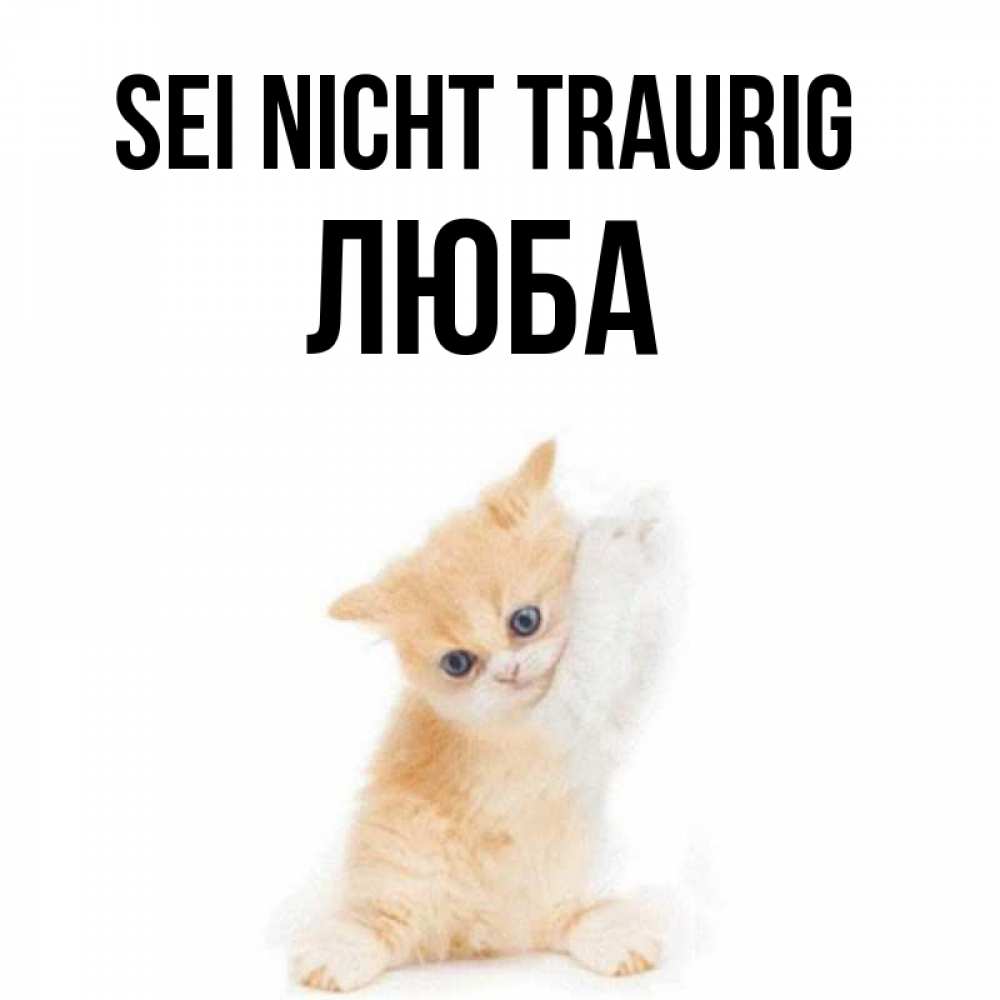 Открытка на каждый день с именем, Люба Sei nicht traurig просящий кот Прикольная открытка с пожеланием онлайн скачать бесплатно 