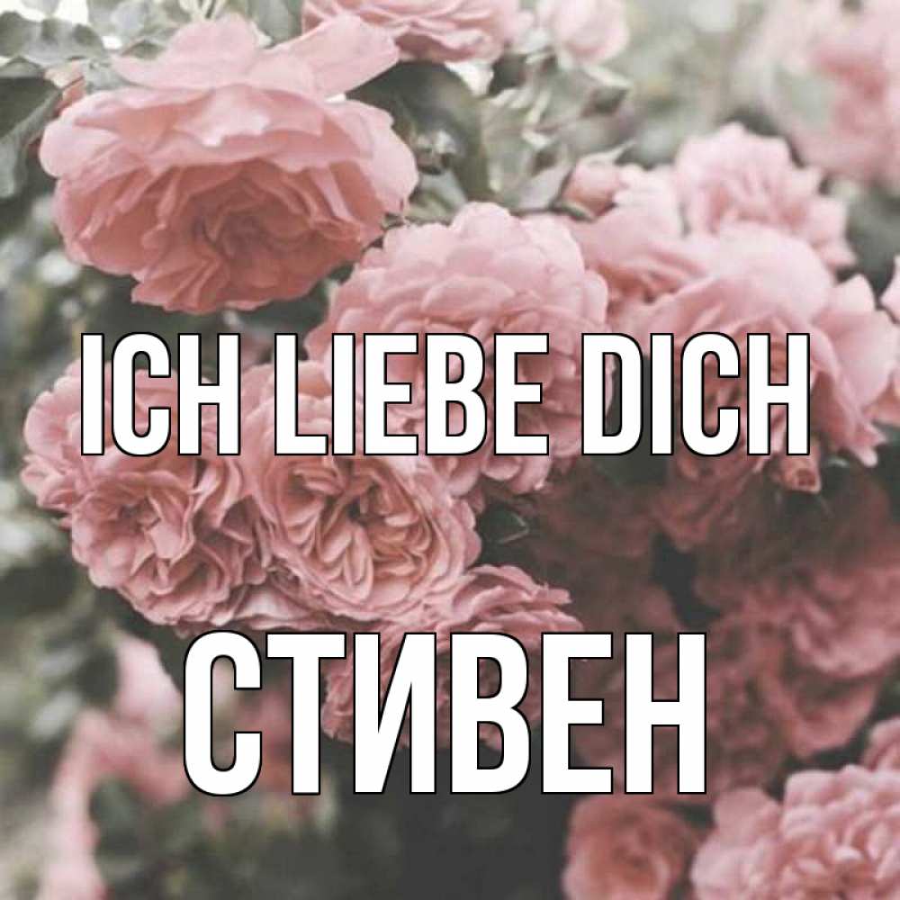 Открытка на каждый день с именем, Стивен Ich liebe dich розы 3 Прикольная открытка с пожеланием онлайн скачать бесплатно 