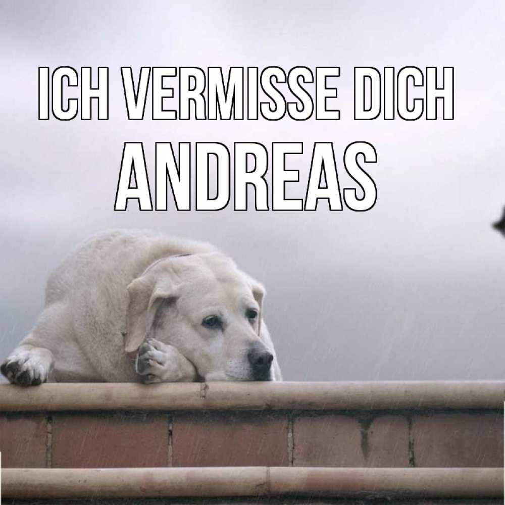 Открытка на каждый день с именем, Andreas Ich vermisse dich ждет Прикольная открытка с пожеланием онлайн скачать бесплатно 