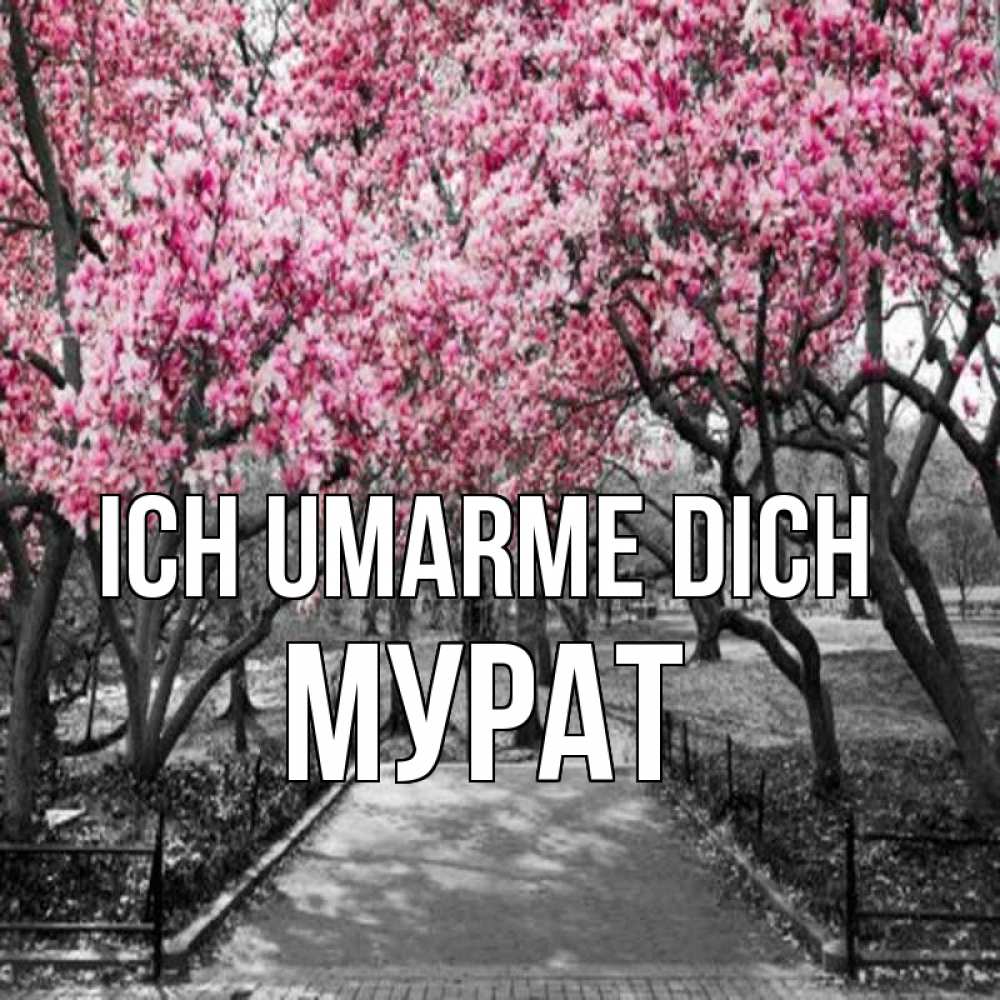 Открытка на каждый день с именем, Мурат Ich umarme dich обработанное фото Прикольная открытка с пожеланием онлайн скачать бесплатно 