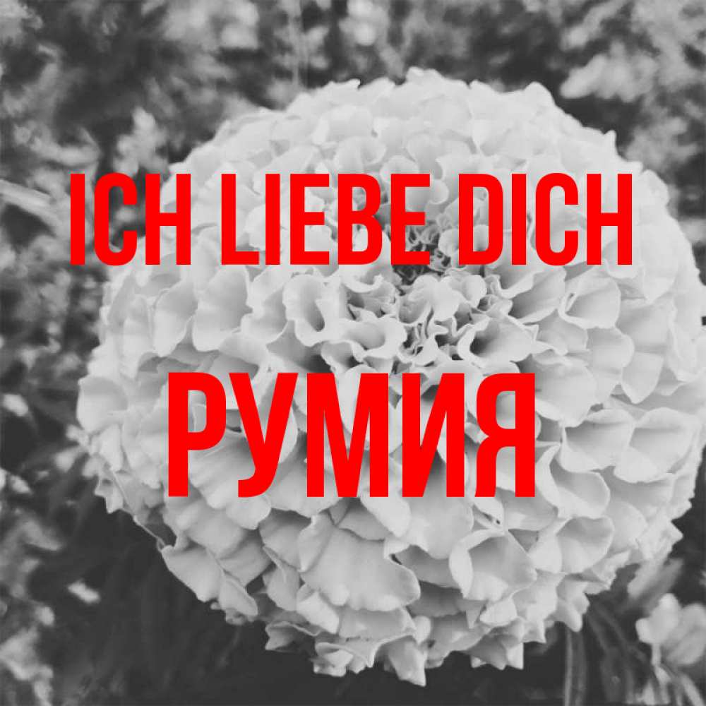 Открытка на каждый день с именем, Румия Ich liebe dich подпись Прикольная открытка с пожеланием онлайн скачать бесплатно 