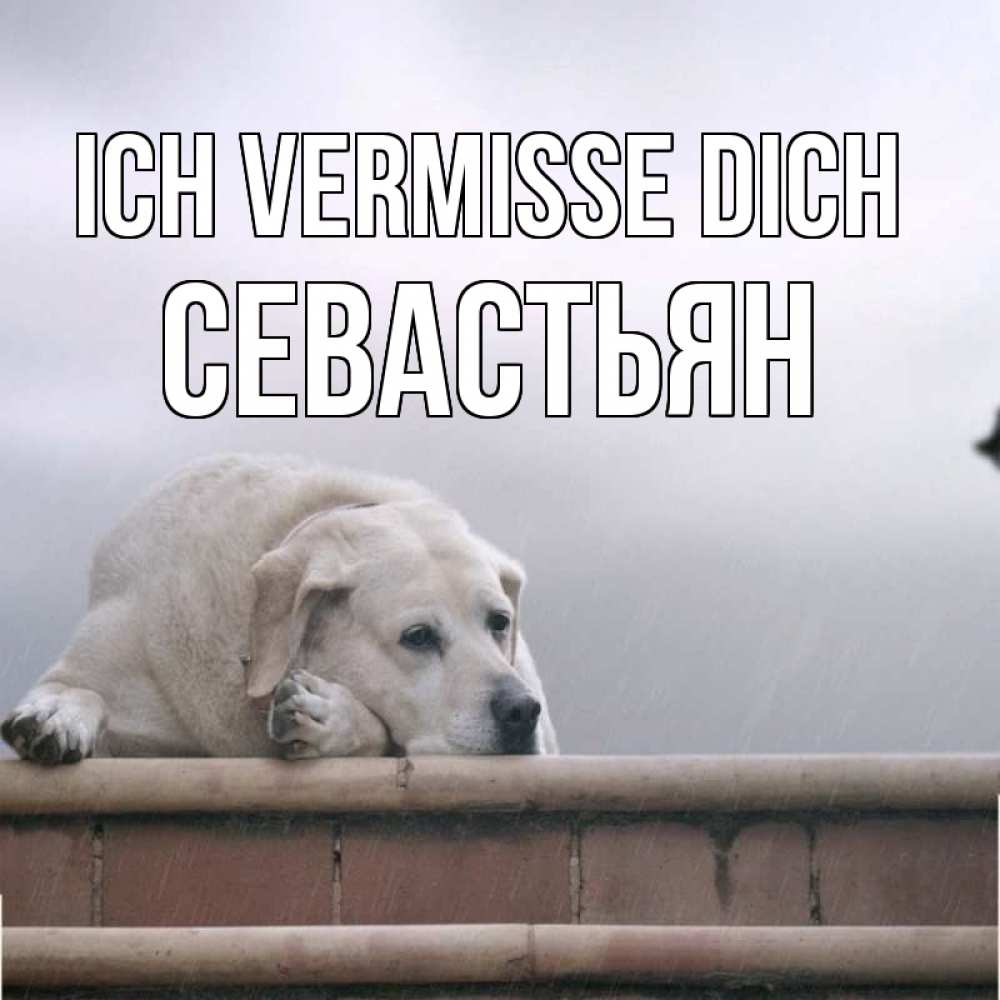Открытка на каждый день с именем, Севастьян Ich vermisse dich ждет Прикольная открытка с пожеланием онлайн скачать бесплатно 