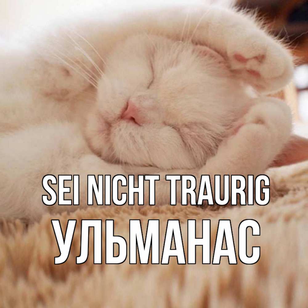 Открытка на каждый день с именем, Ульманас Sei nicht traurig белый кот Прикольная открытка с пожеланием онлайн скачать бесплатно 