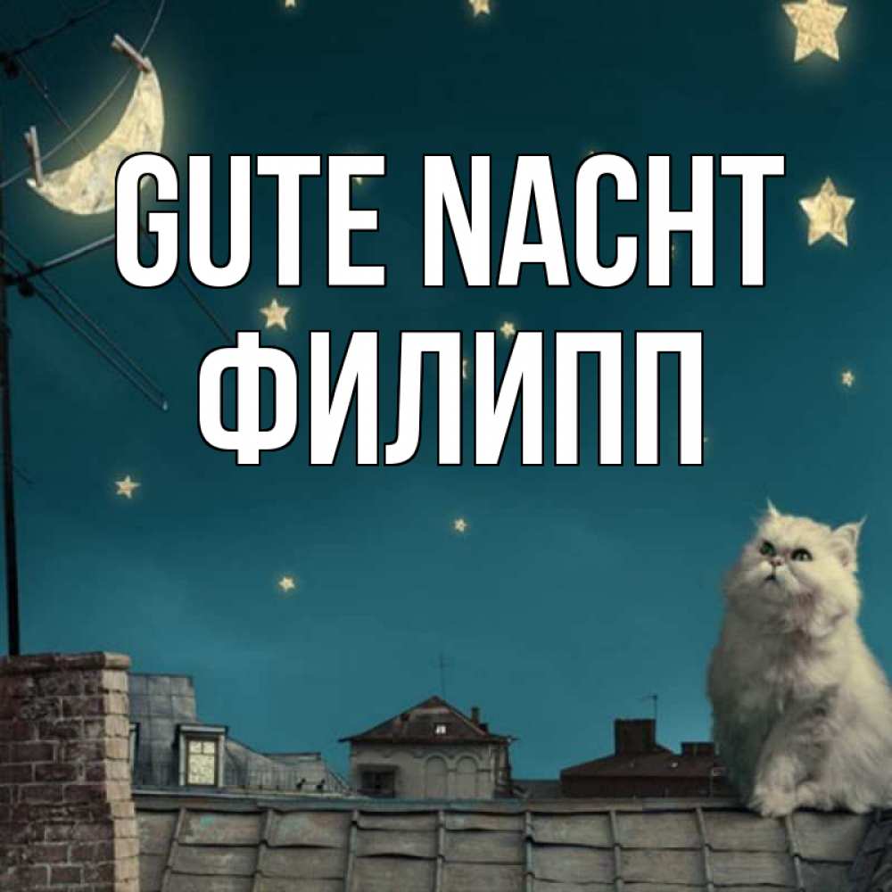 Открытка на каждый день с именем, Филипп Gute Nacht белый кот сидит на крыше Прикольная открытка с пожеланием онлайн скачать бесплатно 