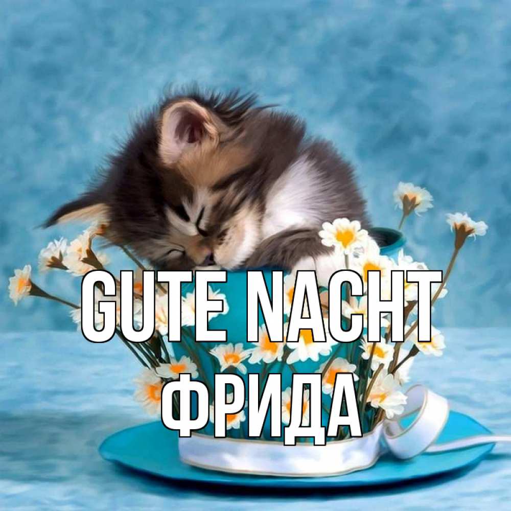 Открытка на каждый день с именем, Фрида Gute Nacht котенок спит в кружке с блюдцем Прикольная открытка с пожеланием онлайн скачать бесплатно 