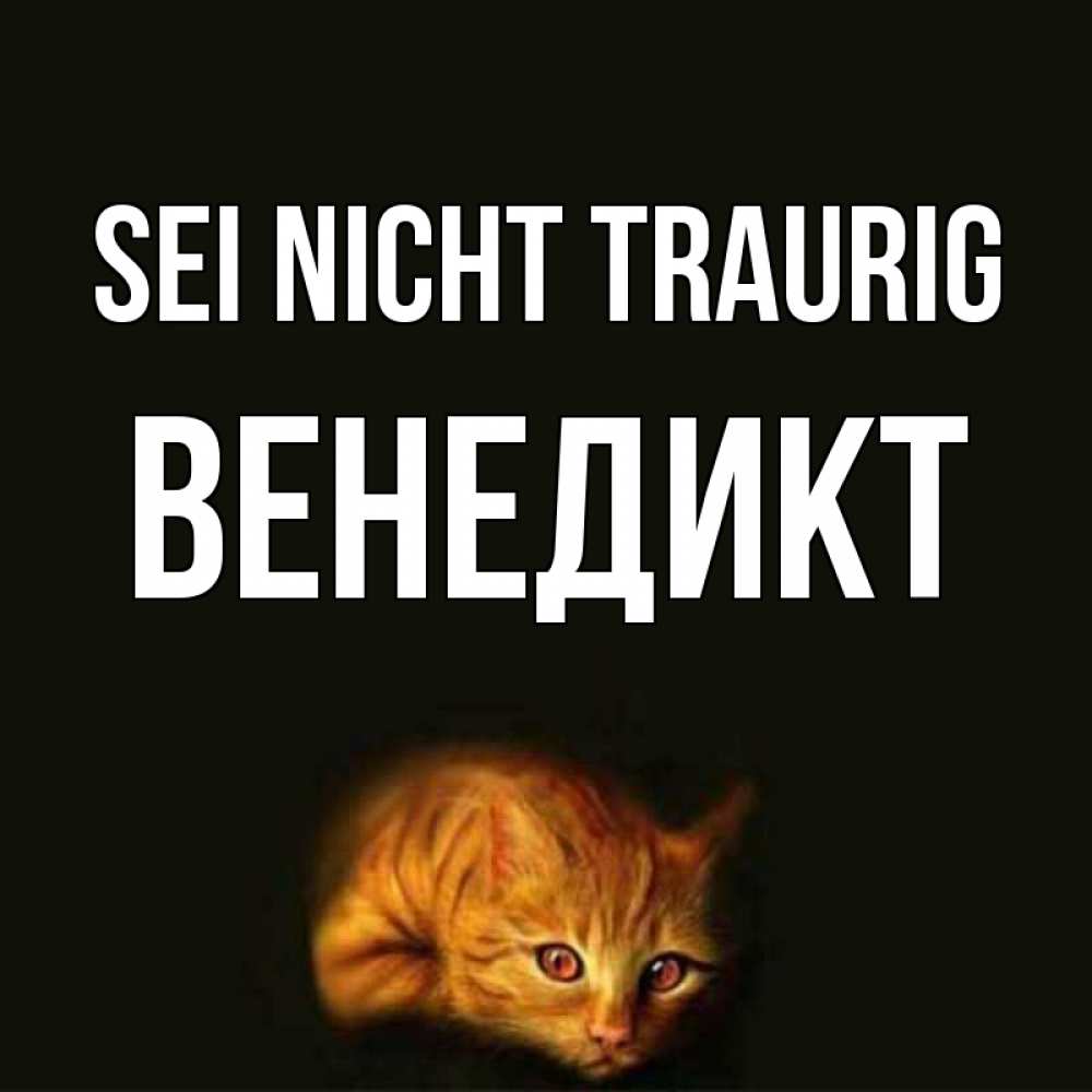 Открытка на каждый день с именем, Венедикт Sei nicht traurig лежащий кот в темноте Прикольная открытка с пожеланием онлайн скачать бесплатно 