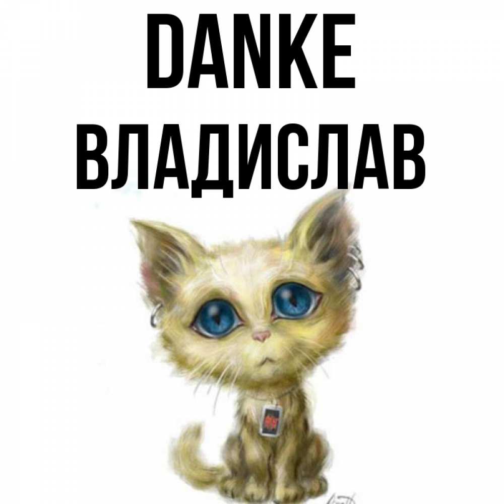Открытка на каждый день с именем, Владислав Danke рисованный кот благодарит вас Прикольная открытка с пожеланием онлайн скачать бесплатно 