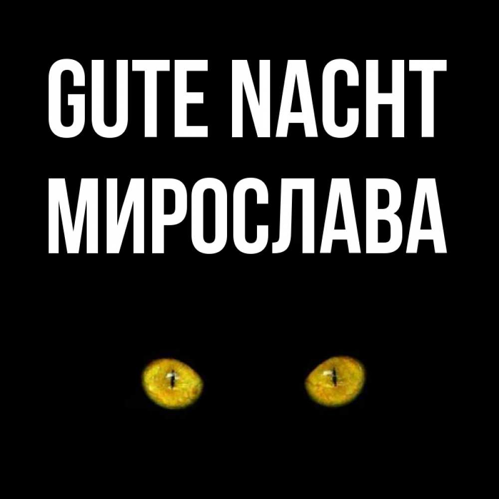 Открытка на каждый день с именем, Мирослава Gute Nacht сладких снов бесстрашный мой дружочек Прикольная открытка с пожеланием онлайн скачать бесплатно 