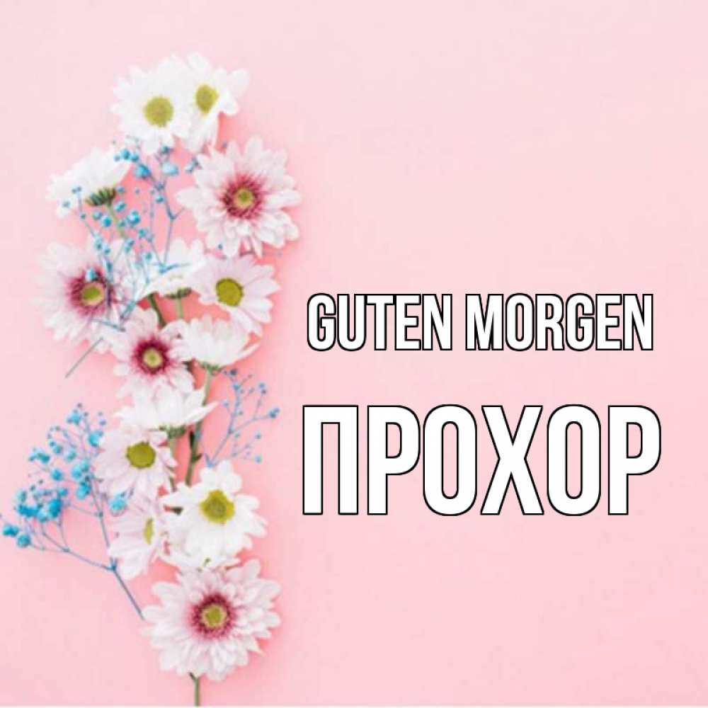 Открытка на каждый день с именем, Прохор Guten Morgen цветы с подписью Прикольная открытка с пожеланием онлайн скачать бесплатно 