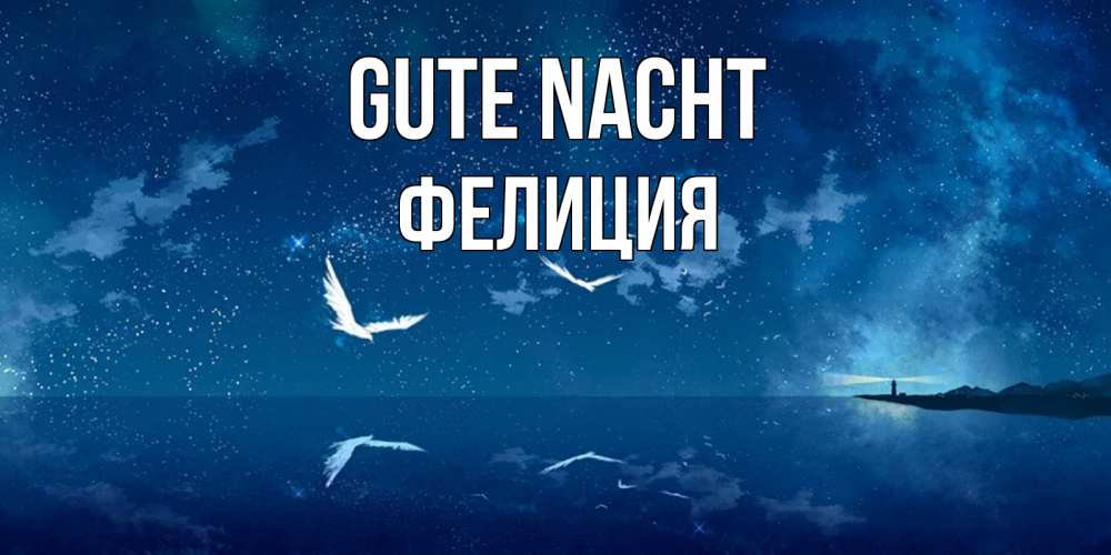 Открытка на каждый день с именем, Фелиция Gute Nacht птицы летят на фоне ночного неба Прикольная открытка с пожеланием онлайн скачать бесплатно 