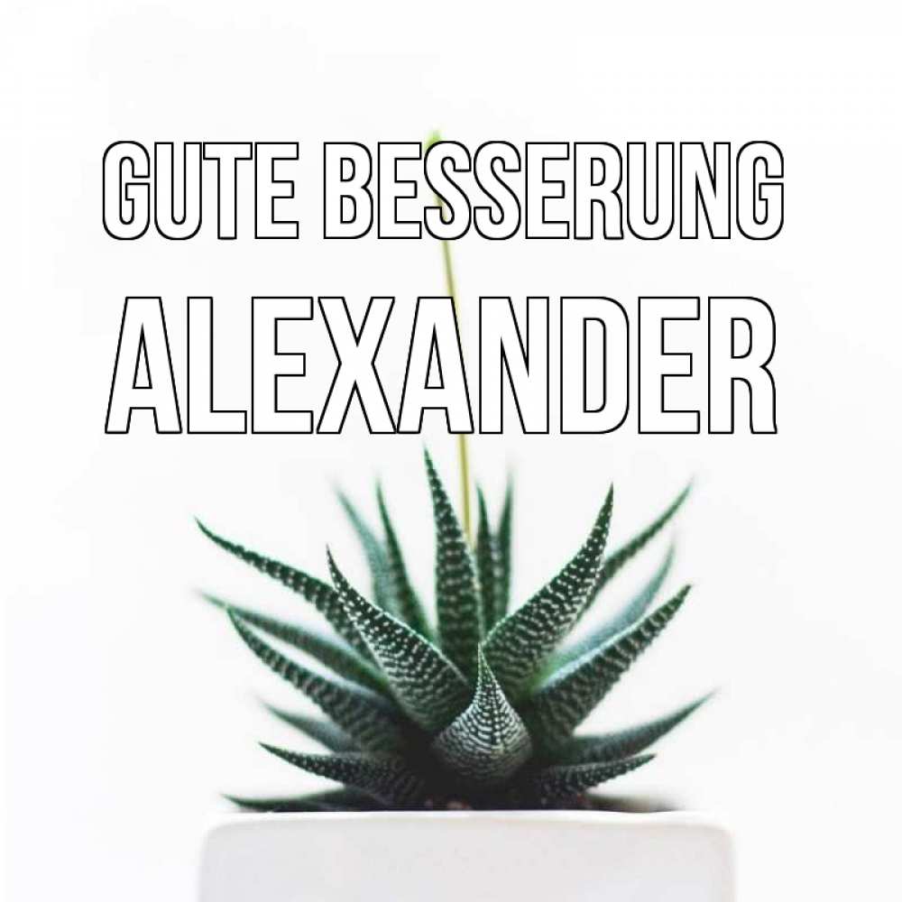 Открытка на каждый день с именем, Alexander Gute Besserung короче это непонятная колючка Прикольная открытка с пожеланием онлайн скачать бесплатно 