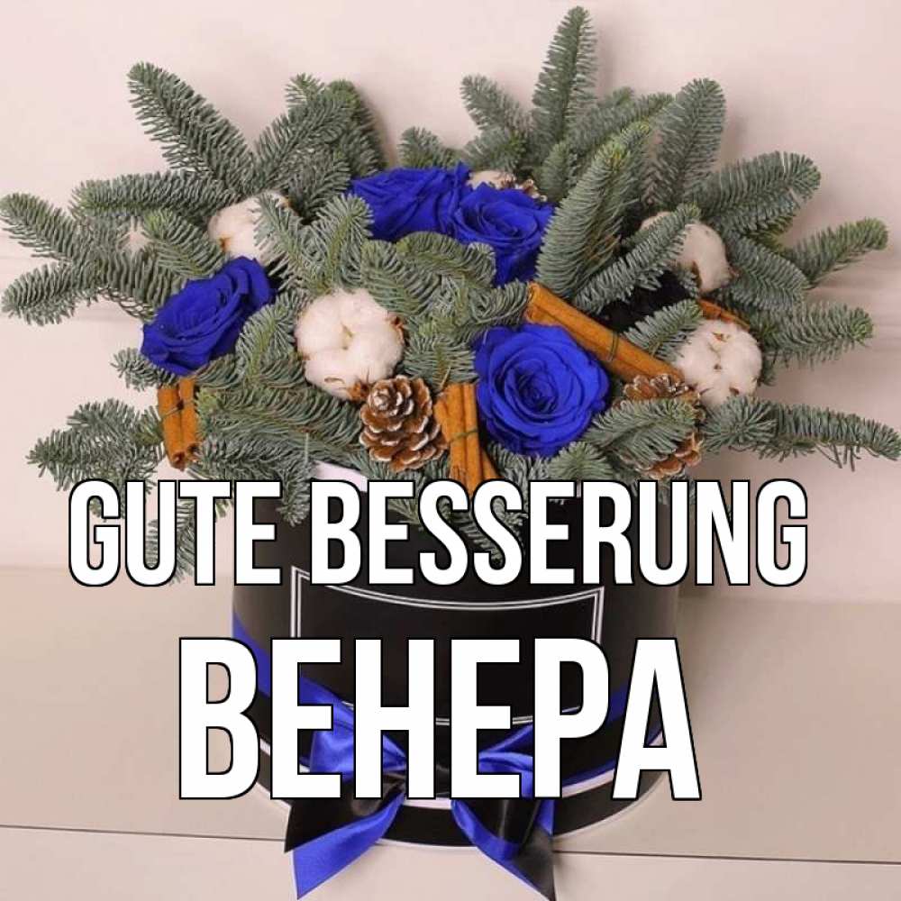 Открытка на каждый день с именем, Венера Gute Besserung короче кто то загрузил эти шишки Прикольная открытка с пожеланием онлайн скачать бесплатно 