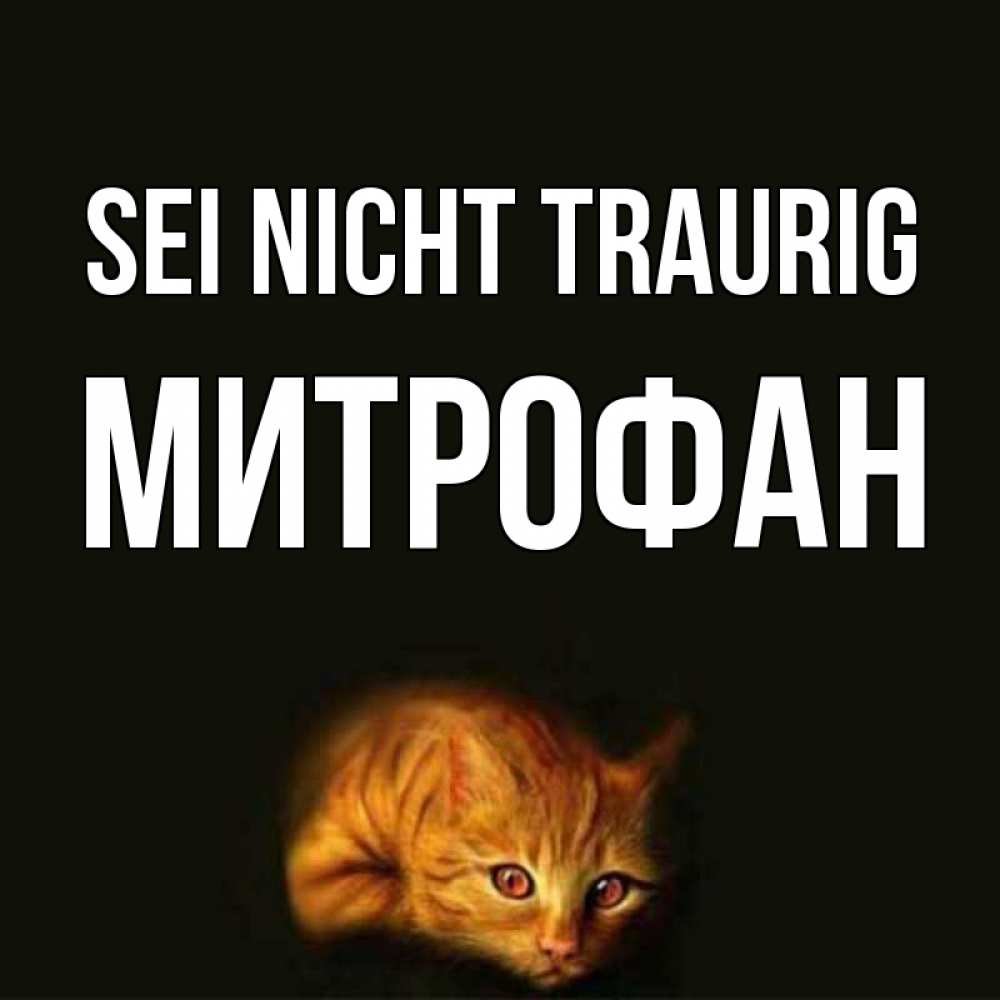 Открытка на каждый день с именем, Митрофан Sei nicht traurig лежащий кот в темноте Прикольная открытка с пожеланием онлайн скачать бесплатно 