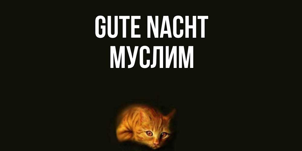 Открытка на каждый день с именем, Муслим Gute Nacht кот Прикольная открытка с пожеланием онлайн скачать бесплатно 