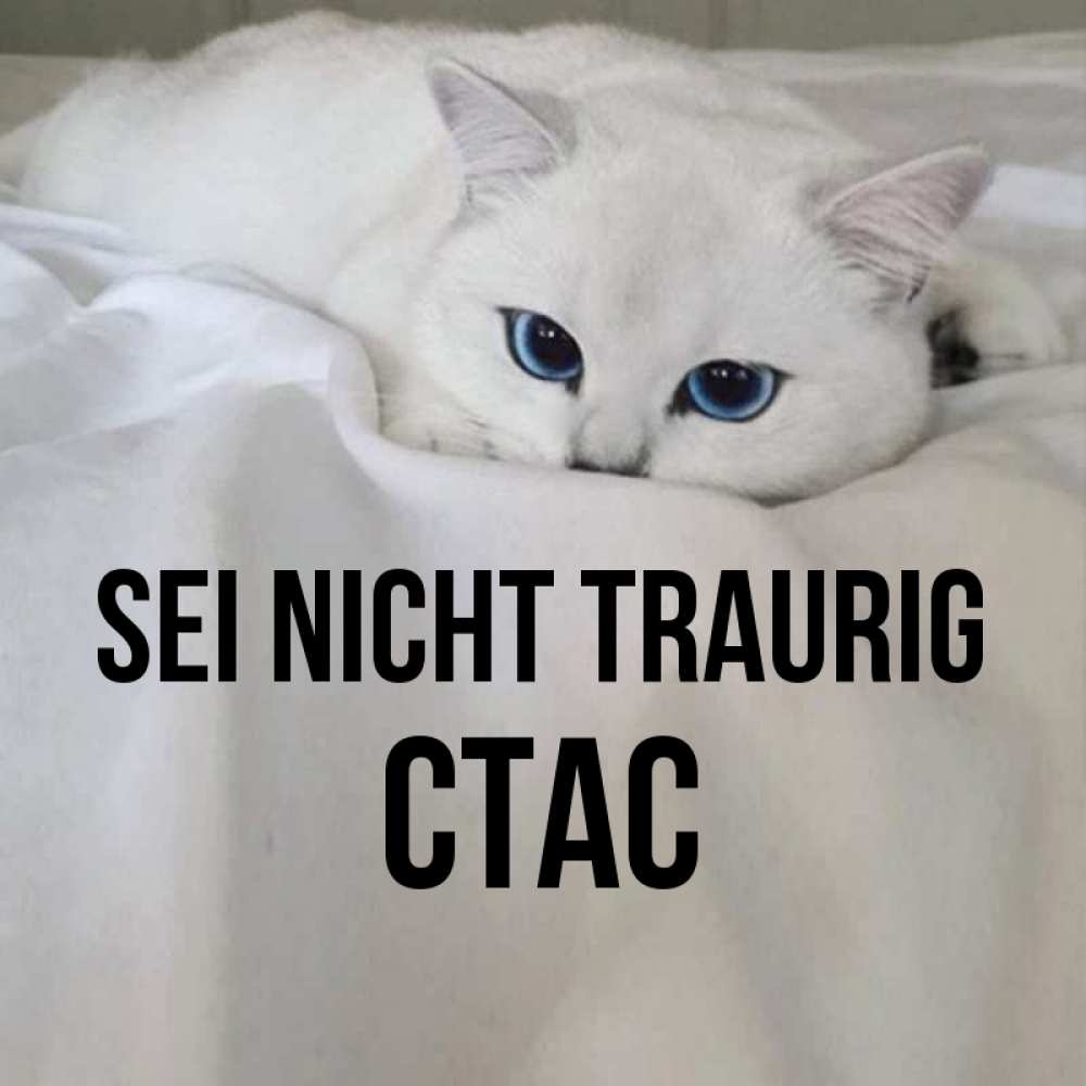 Открытка на каждый день с именем, Стас Sei nicht traurig Голубоглазая кошка Прикольная открытка с пожеланием онлайн скачать бесплатно 