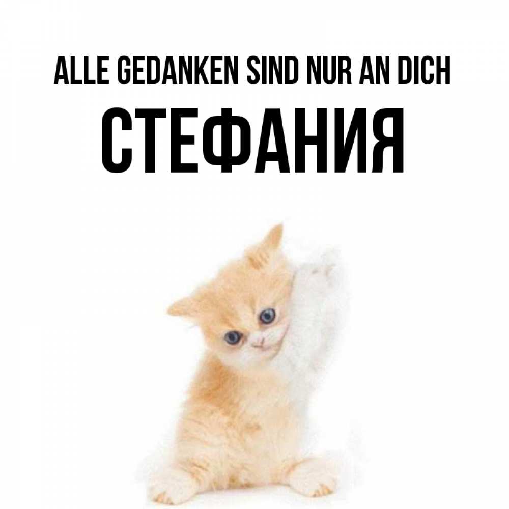 Открытка на каждый день с именем, Стефания Alle Gedanken sind nur an dich зверушки и милота Прикольная открытка с пожеланием онлайн скачать бесплатно 