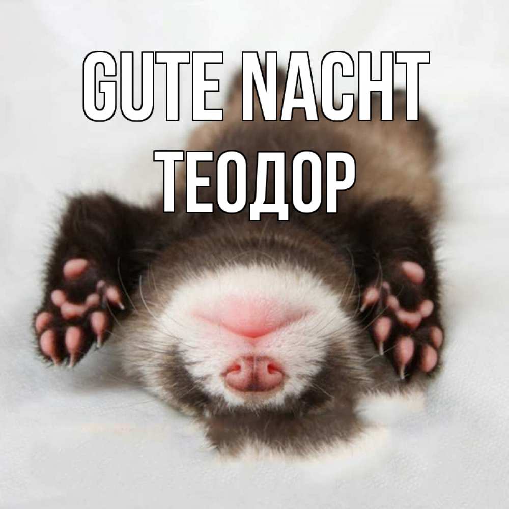 Открытка на каждый день с именем, Теодор Gute Nacht зверек Прикольная открытка с пожеланием онлайн скачать бесплатно 