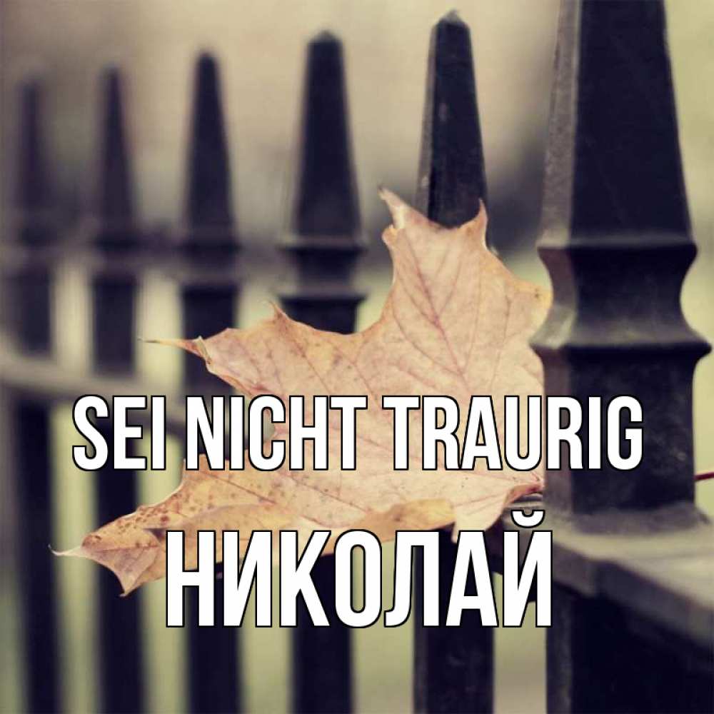 Открытка на каждый день с именем, Николай Sei nicht traurig лист клена Прикольная открытка с пожеланием онлайн скачать бесплатно 