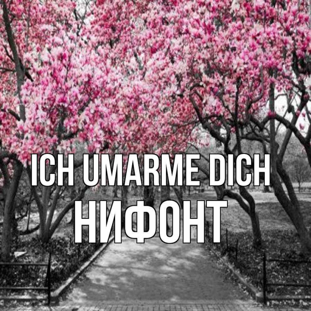 Открытка на каждый день с именем, Нифонт Ich umarme dich обработанное фото Прикольная открытка с пожеланием онлайн скачать бесплатно 