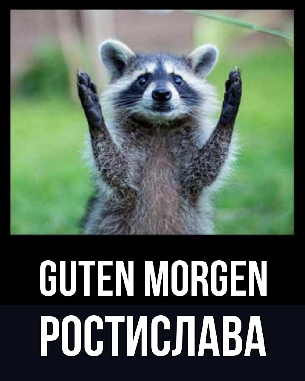 Открытка на каждый день с именем, Ростислава Guten Morgen хорошее настроение утречком Прикольная открытка с пожеланием онлайн скачать бесплатно 