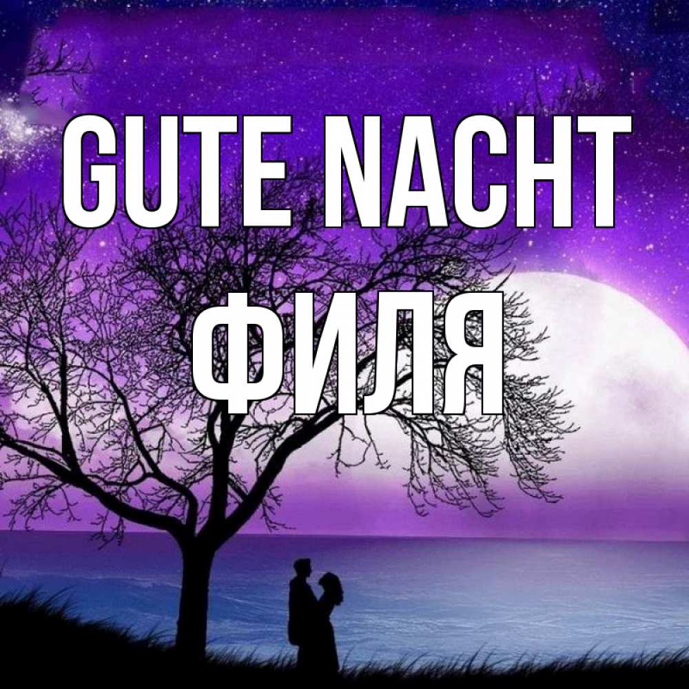 Открытка на каждый день с именем, Филя Gute Nacht огромная луна и парочка Прикольная открытка с пожеланием онлайн скачать бесплатно 