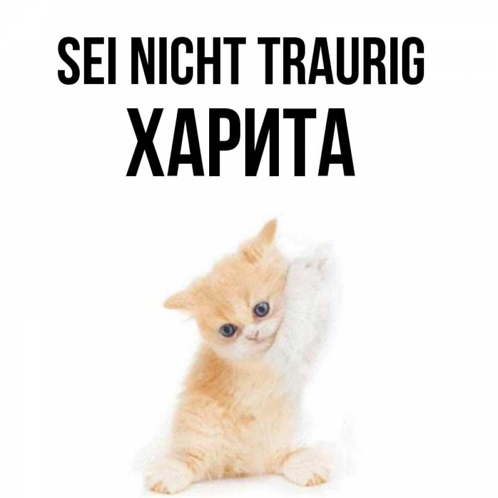 Открытка на каждый день с именем, Харита Sei nicht traurig просящий кот Прикольная открытка с пожеланием онлайн скачать бесплатно 