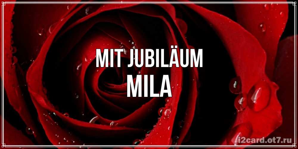 Открытка на каждый день с именем, Mila Mit Jubiläum крупная бордовая роза Прикольная открытка с пожеланием онлайн скачать бесплатно 