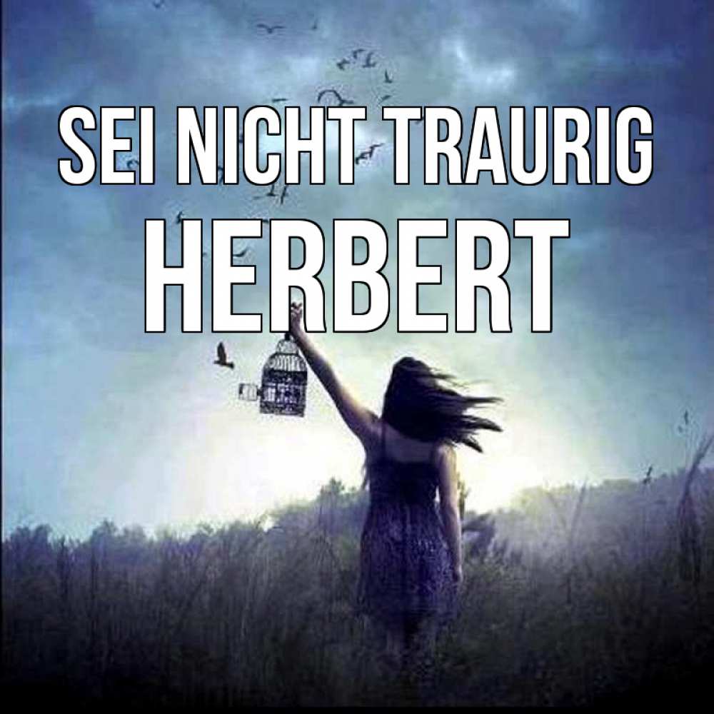 Открытка на каждый день с именем, Herbert Sei nicht traurig на волю Прикольная открытка с пожеланием онлайн скачать бесплатно 