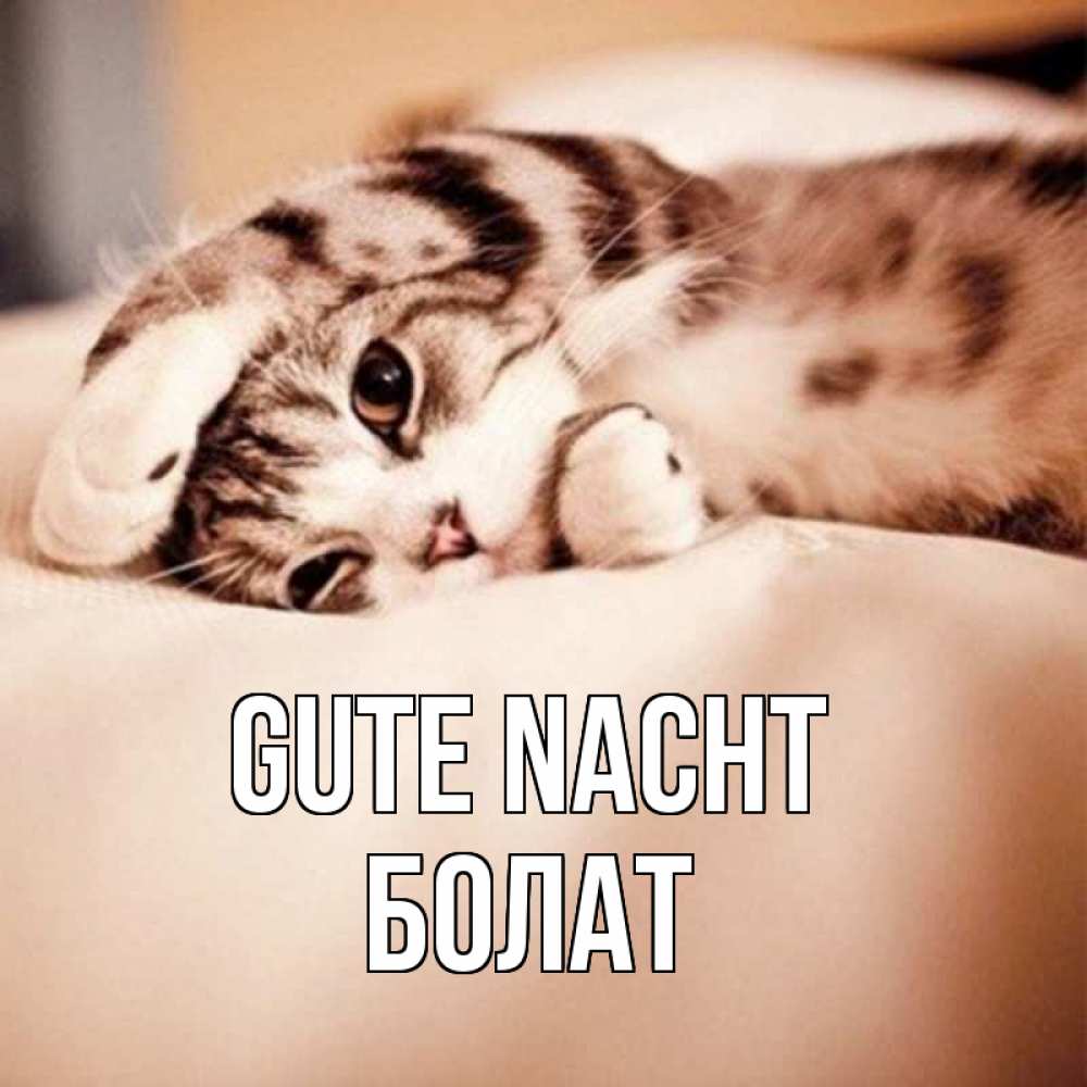 Открытка на каждый день с именем, Болат Gute Nacht сладких снов с животными Прикольная открытка с пожеланием онлайн скачать бесплатно 