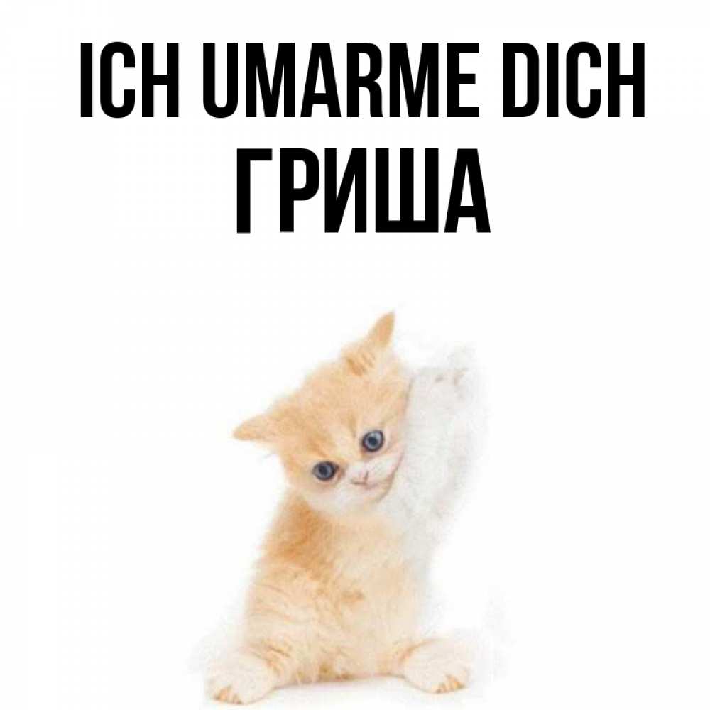 Открытка на каждый день с именем, Гриша Ich umarme dich я хочу очень скорее обнимаешек Прикольная открытка с пожеланием онлайн скачать бесплатно 