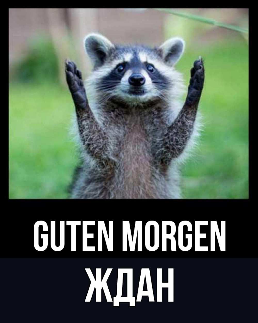 Открытка на каждый день с именем, Ждан Guten Morgen хорошее настроение утречком Прикольная открытка с пожеланием онлайн скачать бесплатно 