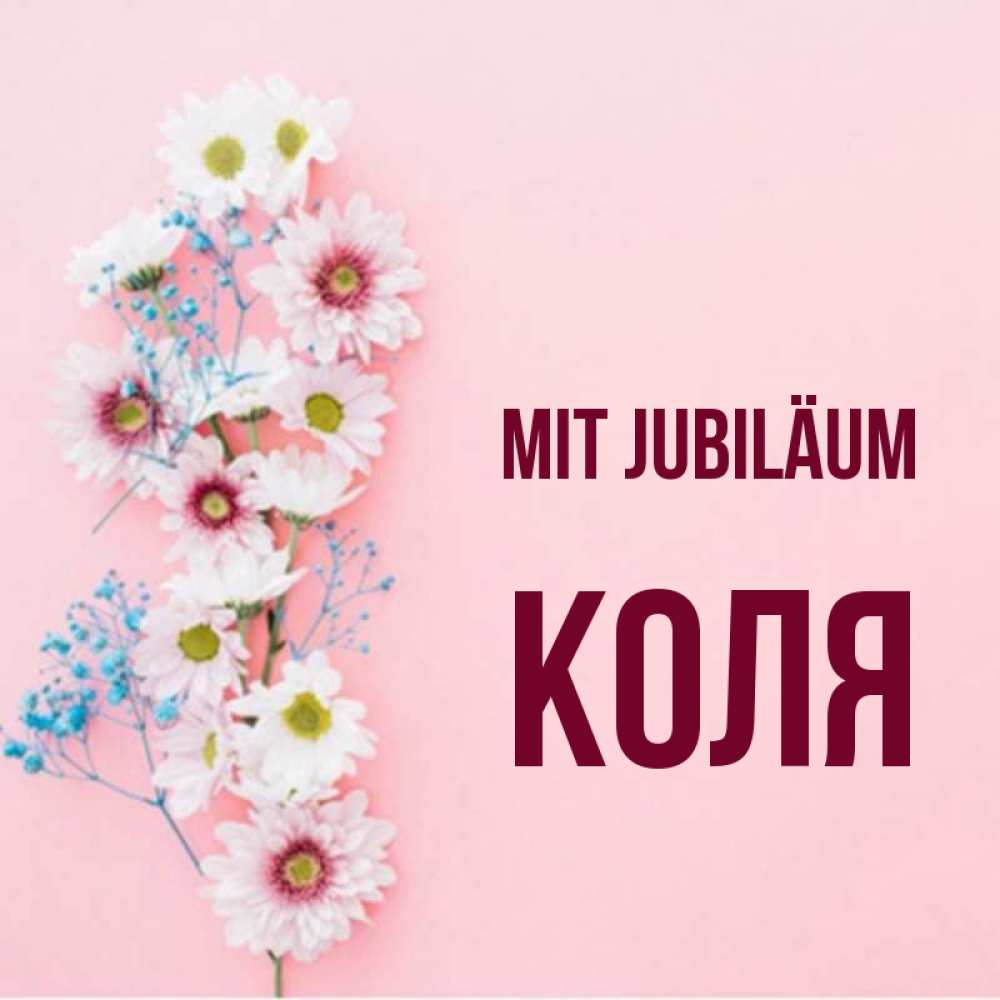 Открытка на каждый день с именем, Коля Mit Jubiläum Родная моя с днем рождения тебя картинка с цветами белыми и голубыми Прикольная открытка с пожеланием онлайн скачать бесплатно 