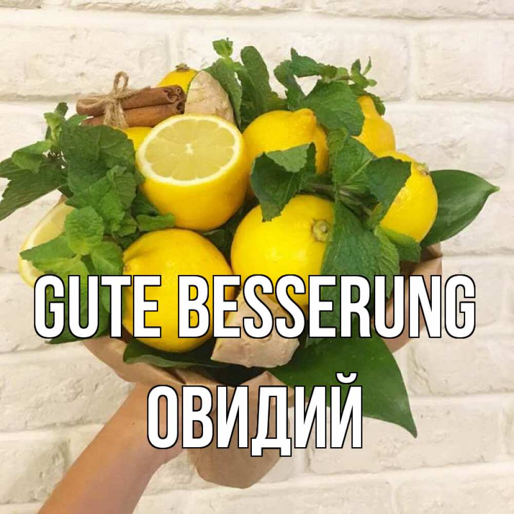Открытка на каждый день с именем, Овидий Gute Besserung витамины Прикольная открытка с пожеланием онлайн скачать бесплатно 